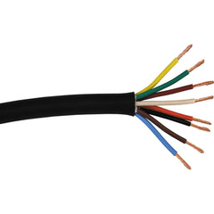 Custom Cable 30 Feet of RapcoHorizon SPEAKER8 Wire Image 1
