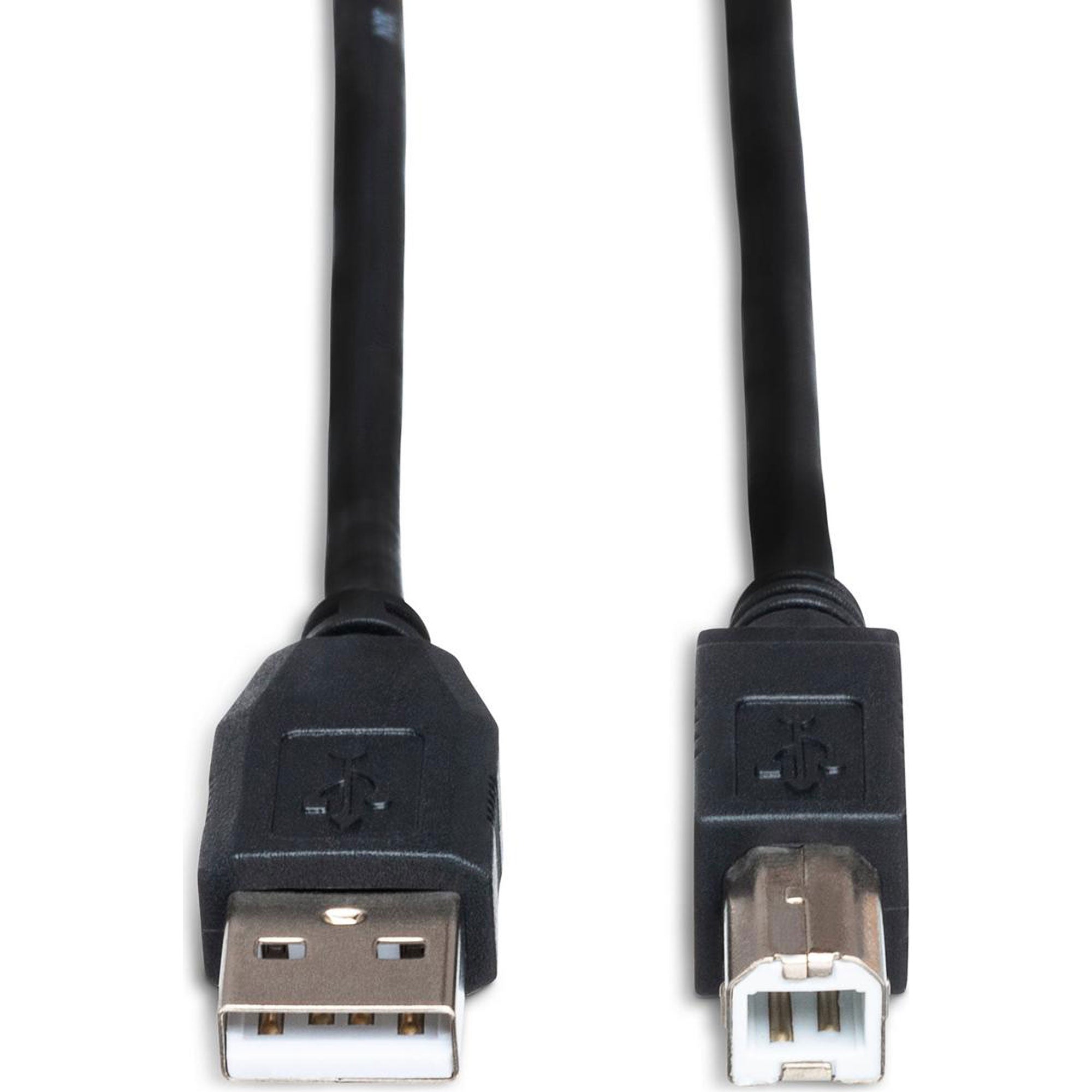 Hosa USB-210AB High Speed Type A to Type B USB Cable (10')