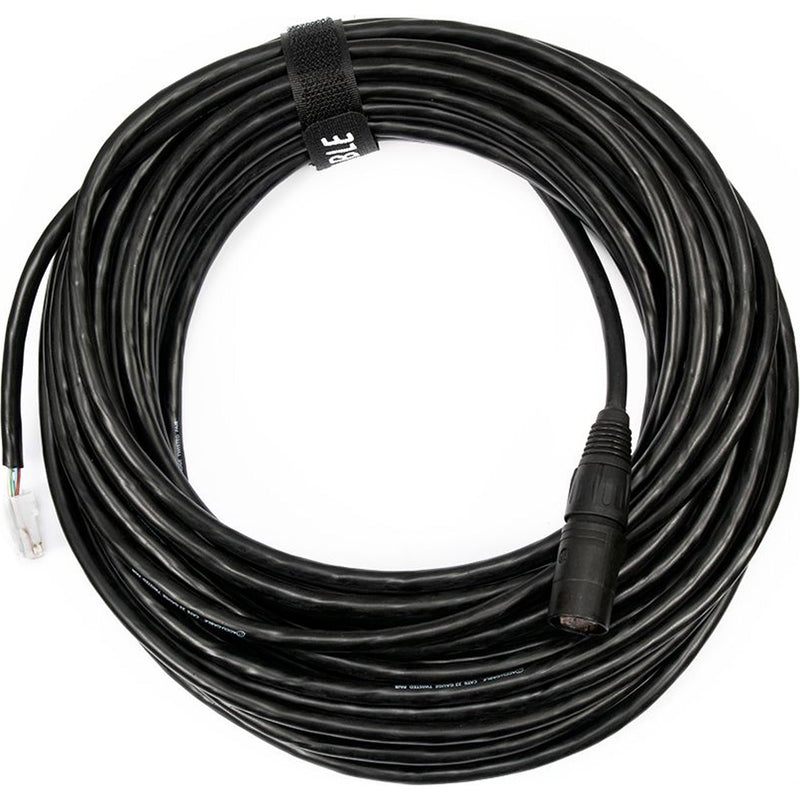 American DJ Accu-Cable CAT6PRO50FC First Cable CAT6 Pro Series RJ45 to EtherCON Cable (50')