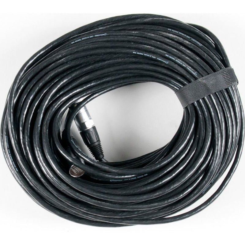 American DJ Accu-Cable CAT6PRO100 CAT6 Pro Series EtherCON Cable (100')