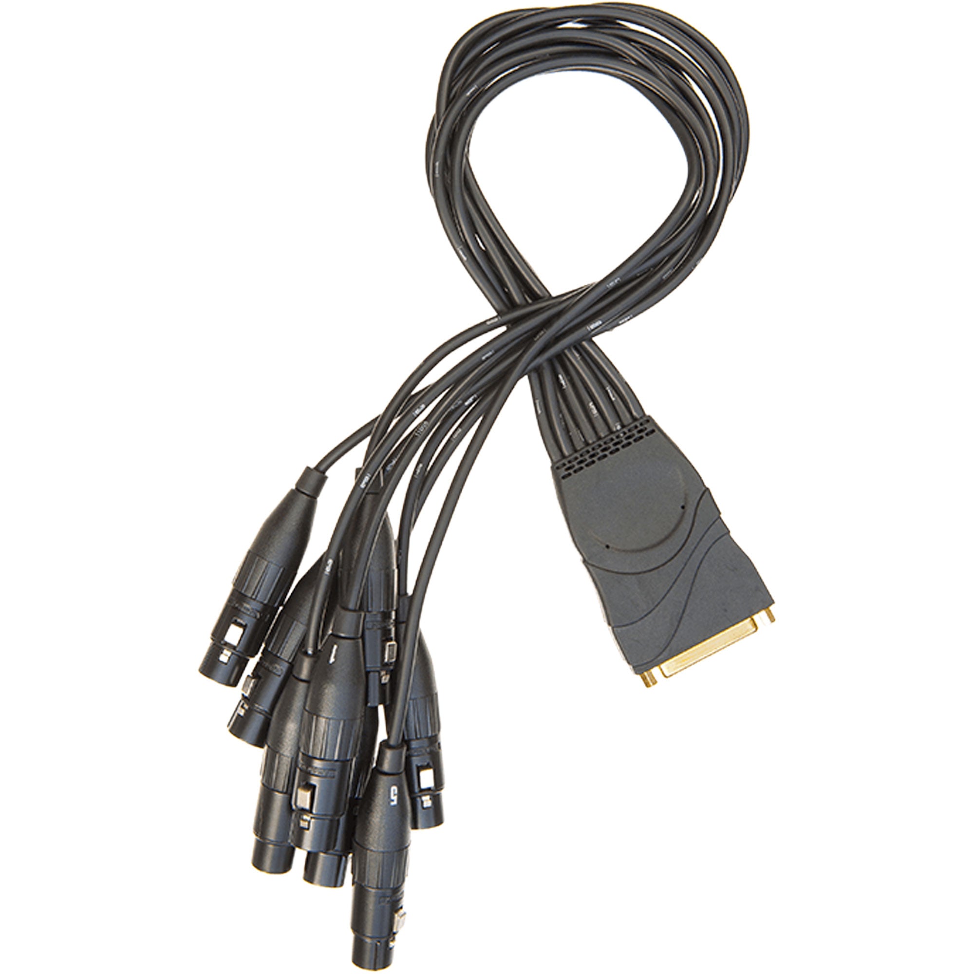 D'Addario PW-XLRFB-01 Modular Snake System Breakout Cable (DB25 Female - XLR Female)