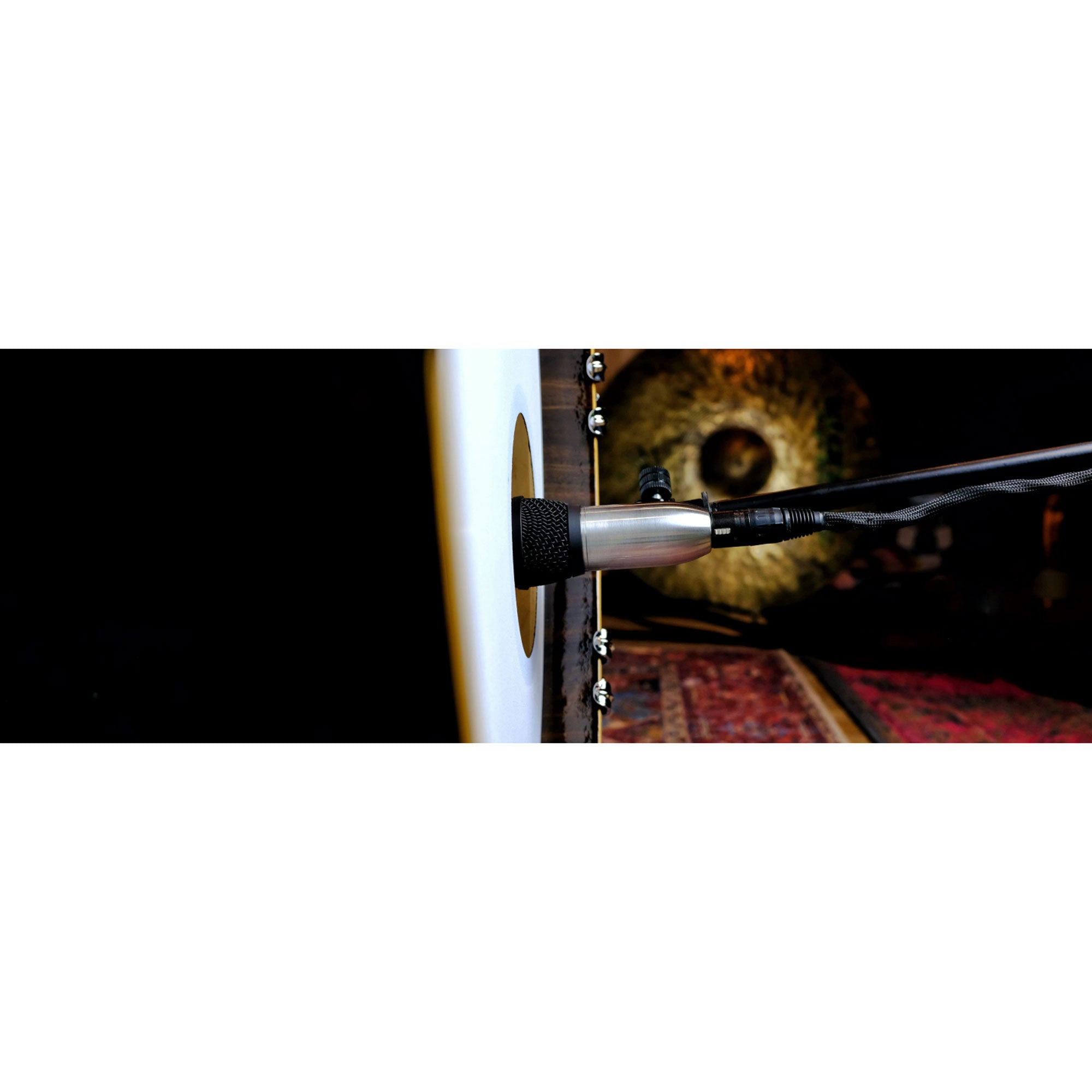 Earthworks DM6 SeisMic Supercardioid Condenser Kick Drum Microphone with FREE 20' XLR Cable