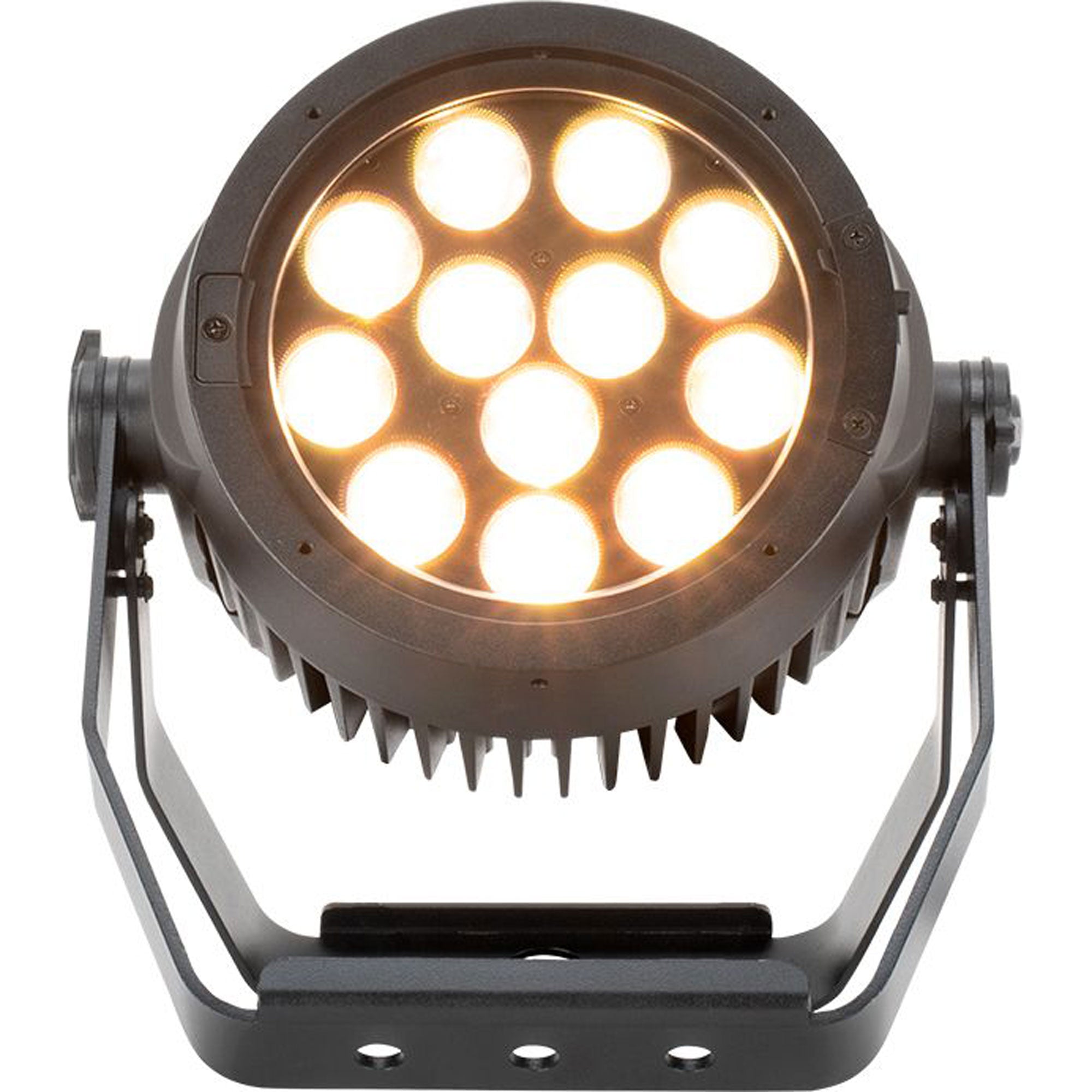 American DJ Encore LP12IP Heavy-Duty IP65 Outdoor Rated Par with 12 x 20 Watt Quad LEDs (RGBL)
