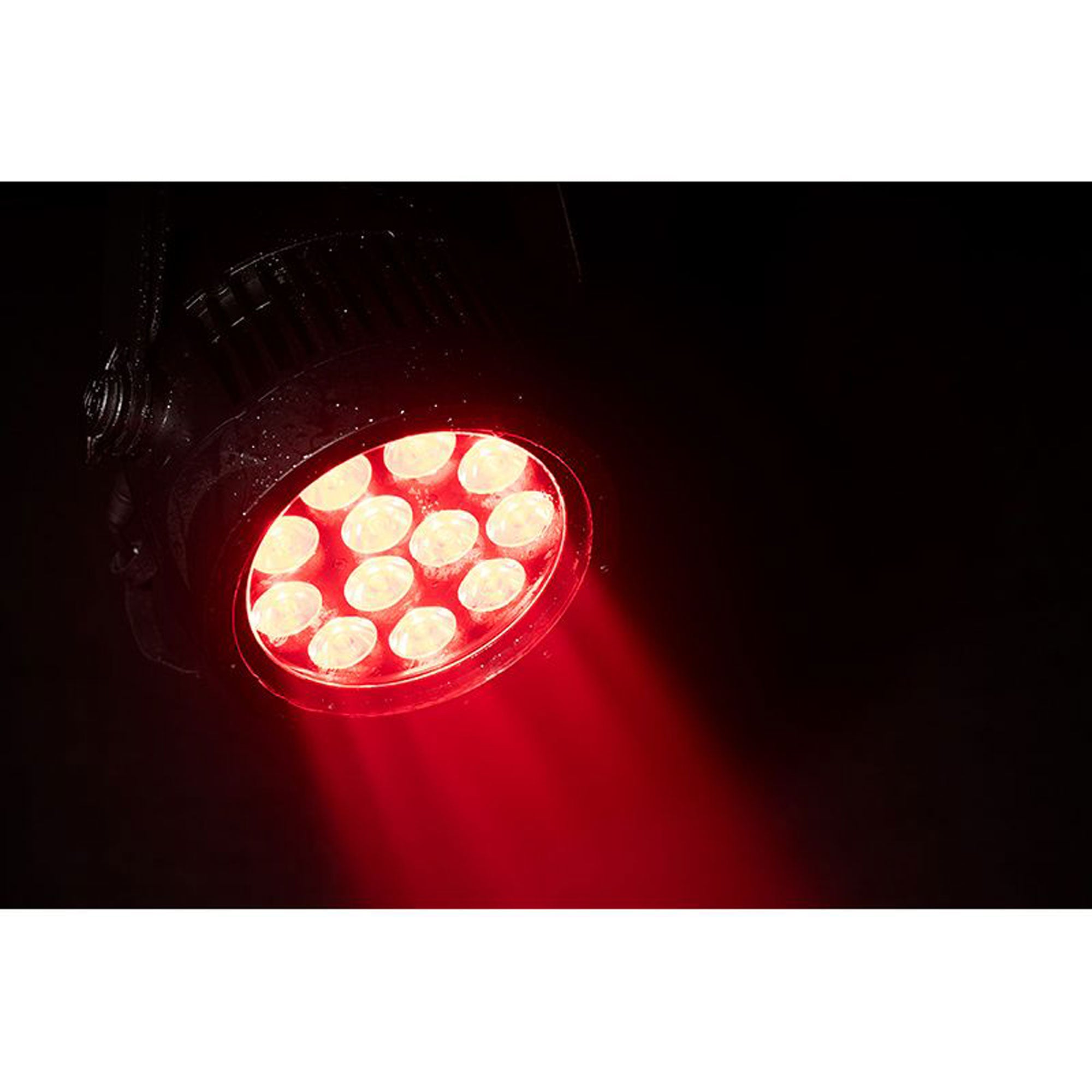 American DJ Encore LP12IP Heavy-Duty IP65 Outdoor Rated Par with 12 x 20 Watt Quad LEDs (RGBL)