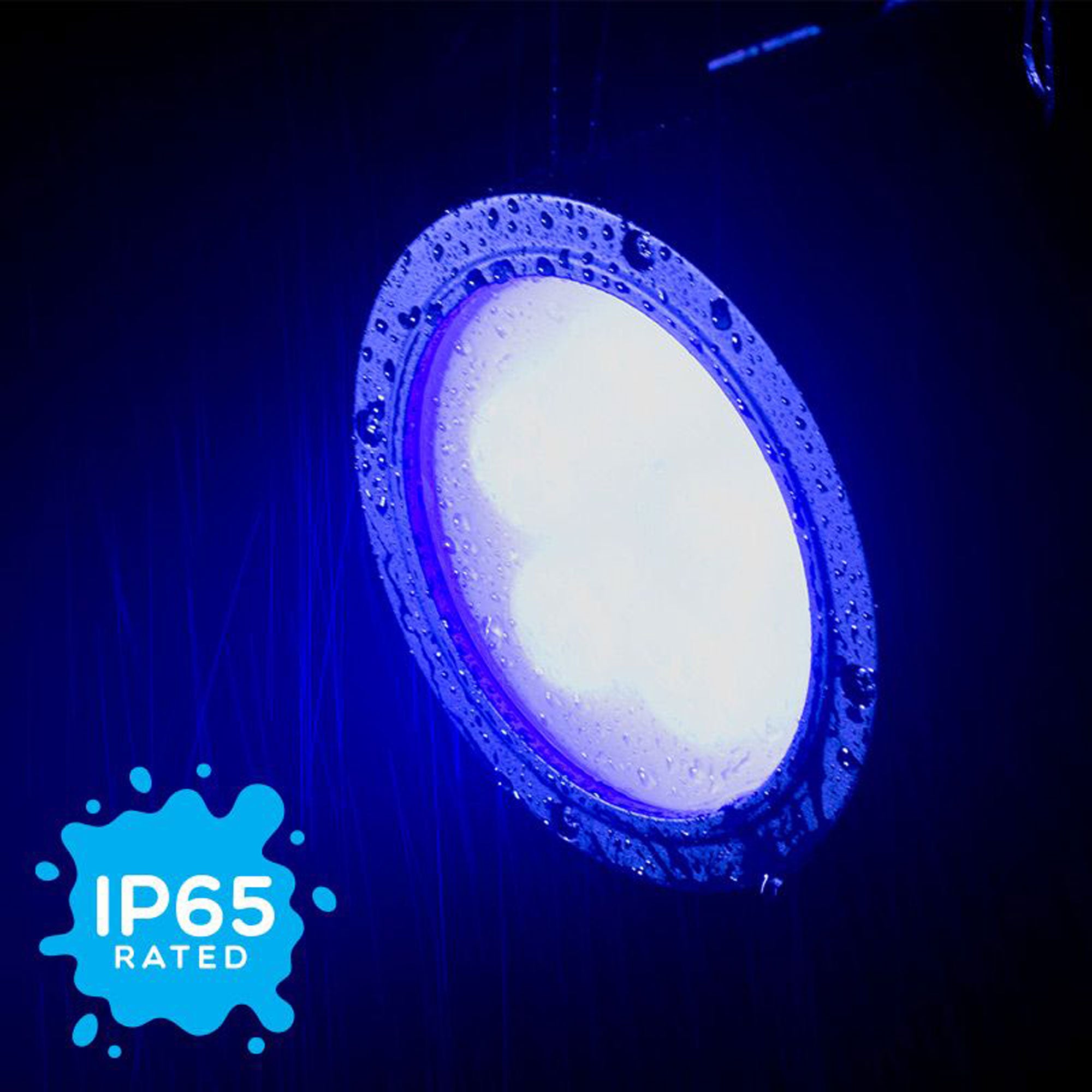 American DJ Encore LP5IP Heavy-Duty IP65 Outdoor Rated Par with 5 x 20 Watt Quad LEDs (RGBL)
