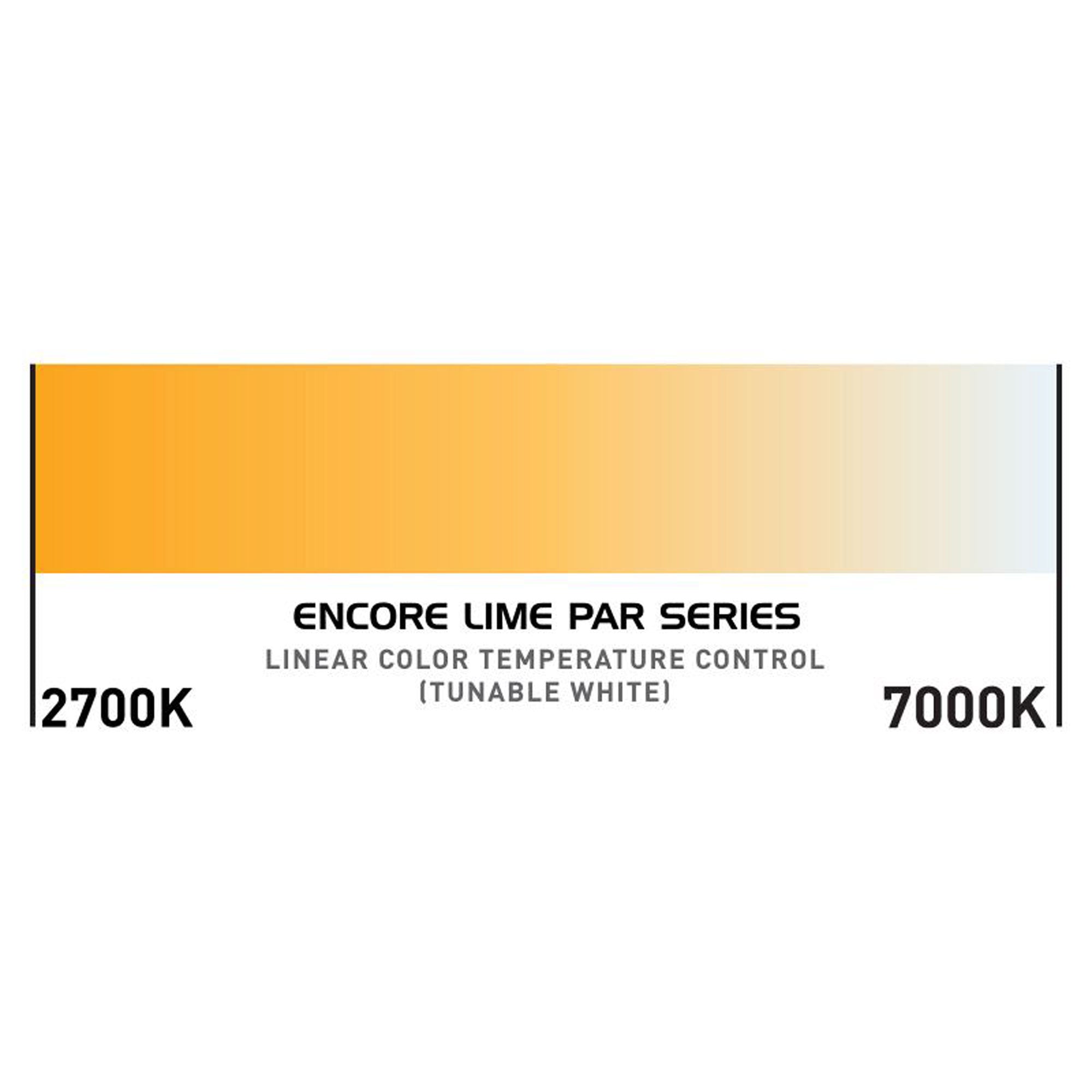 American DJ Encore LP5IP Heavy-Duty IP65 Outdoor Rated Par with 5 x 20 Watt Quad LEDs (RGBL)
