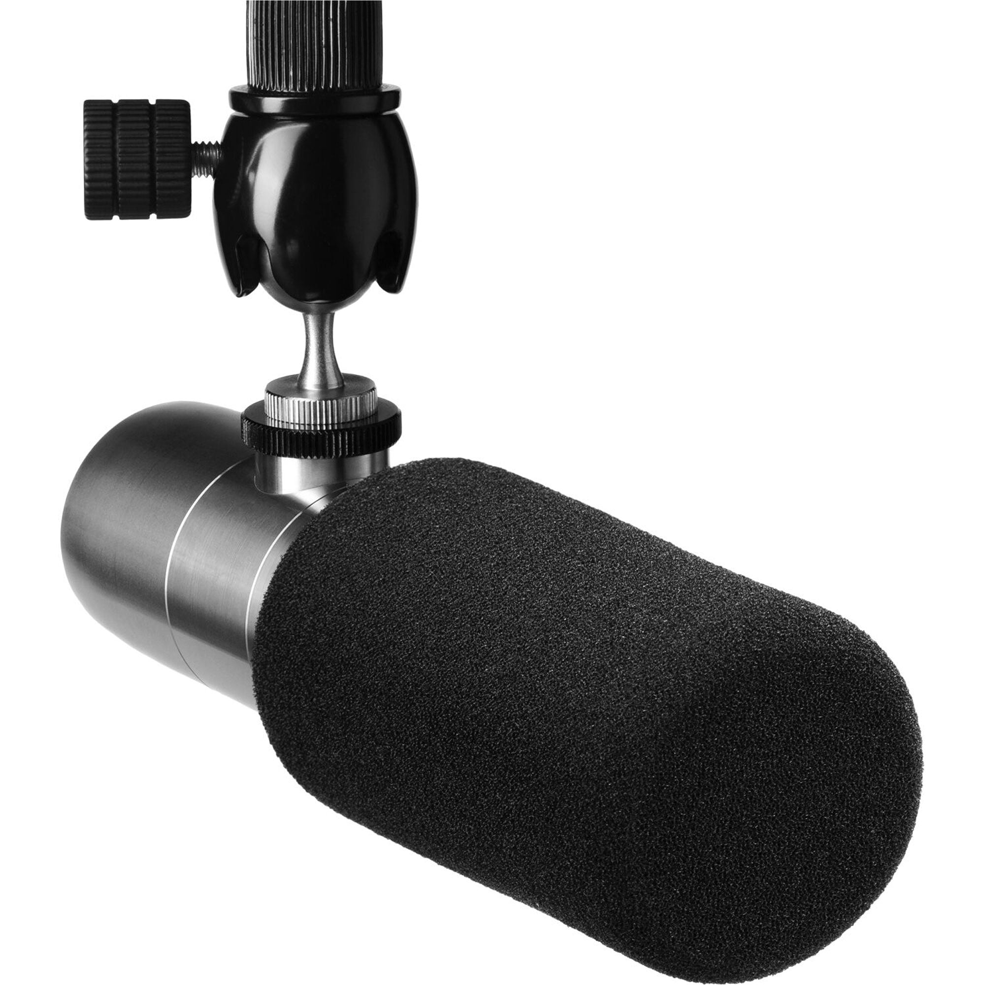 Earthworks ETHOS Broadcast Condenser Microphone with FREE 20' XLR Cable (Stainless Steel)