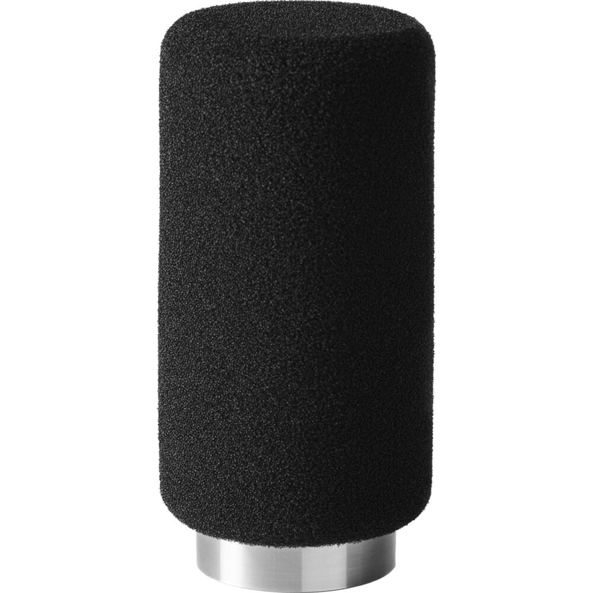 Earthworks ETHOS Broadcast Condenser Microphone with FREE 20' XLR Cable (Stainless Steel)