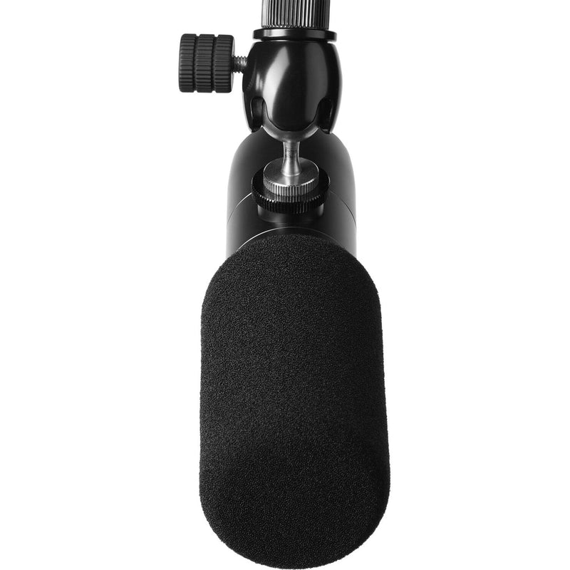 Earthworks ETHOS B Broadcast Condenser Microphone with FREE 20' XLR Cable (Matte Black)
