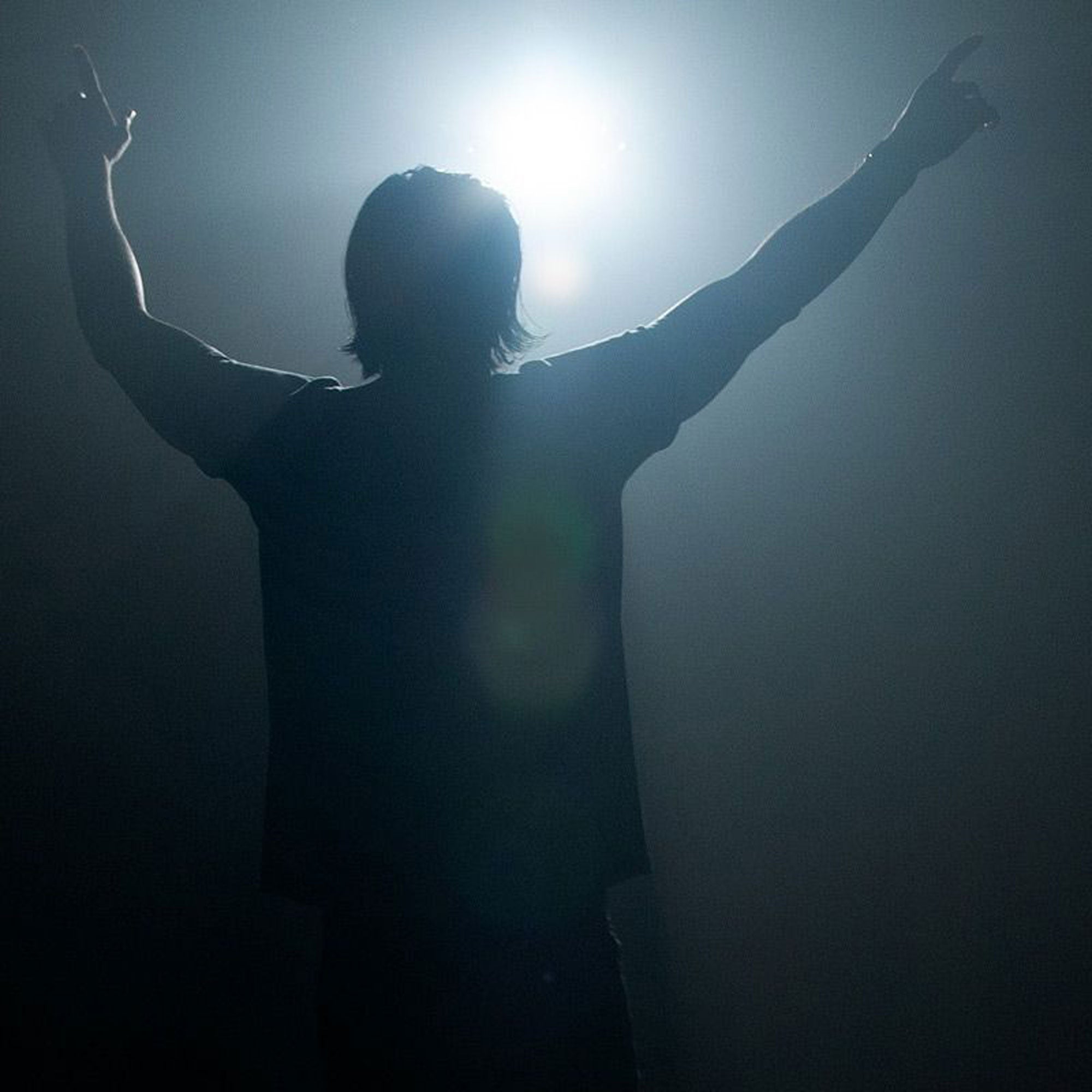 Eliminator Lighting Furious Five RG 5-In-1 Derby, Laser Beams, UV, Wash and Strobe Effect Light