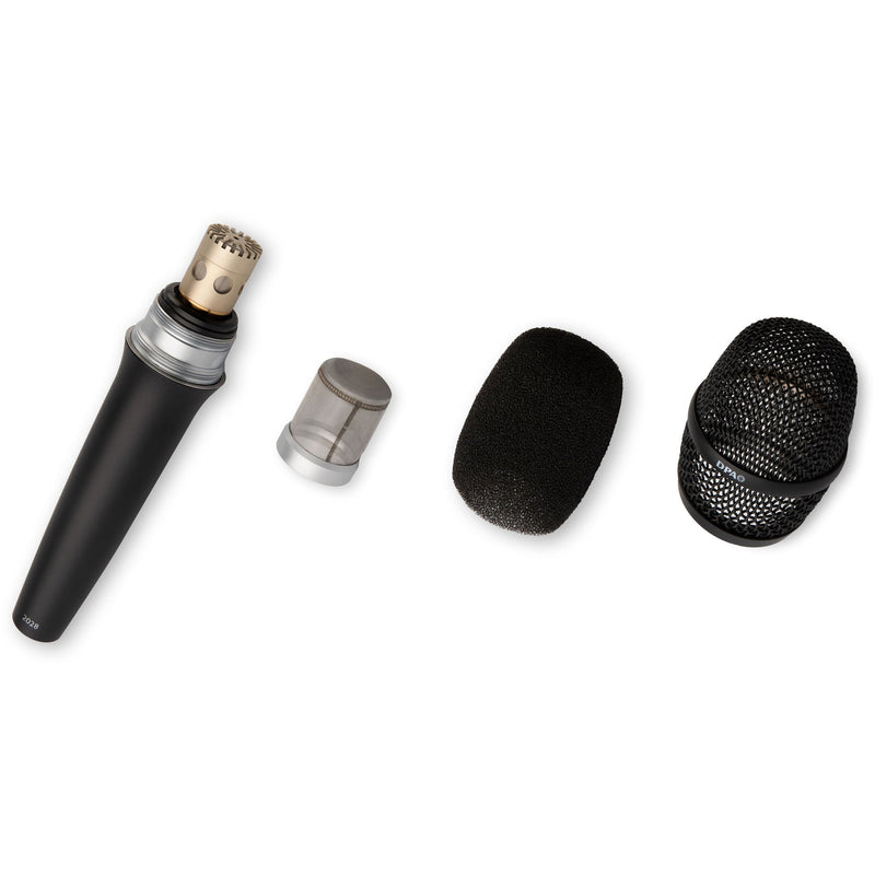 DPA Microphones 2028 Vocal Supercardioid Handheld Microphone with FREE 20' XLR Cable (Black)