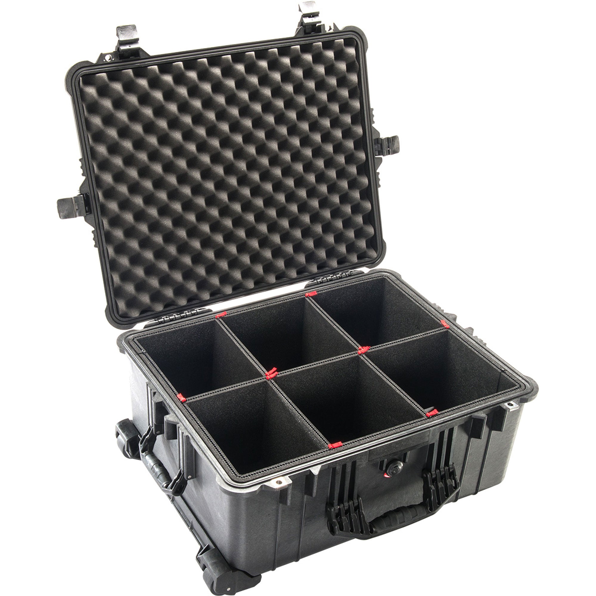 Pelican 1610TP Protector Case with TrekPak Divider System (Black)