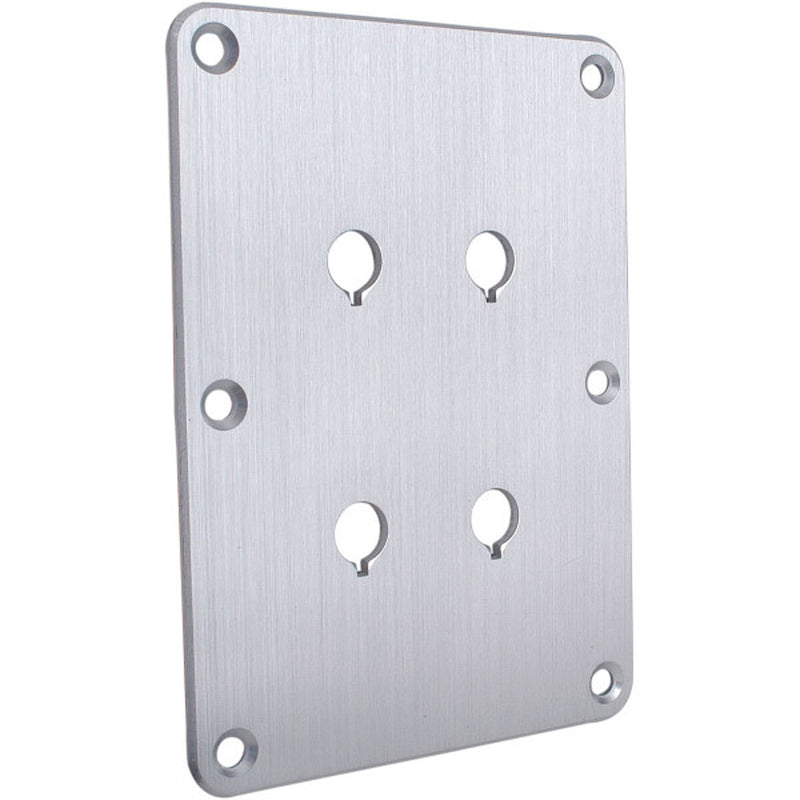 Performance Audio Anodized Aluminum Binding Post Plate (Silver, Double)
