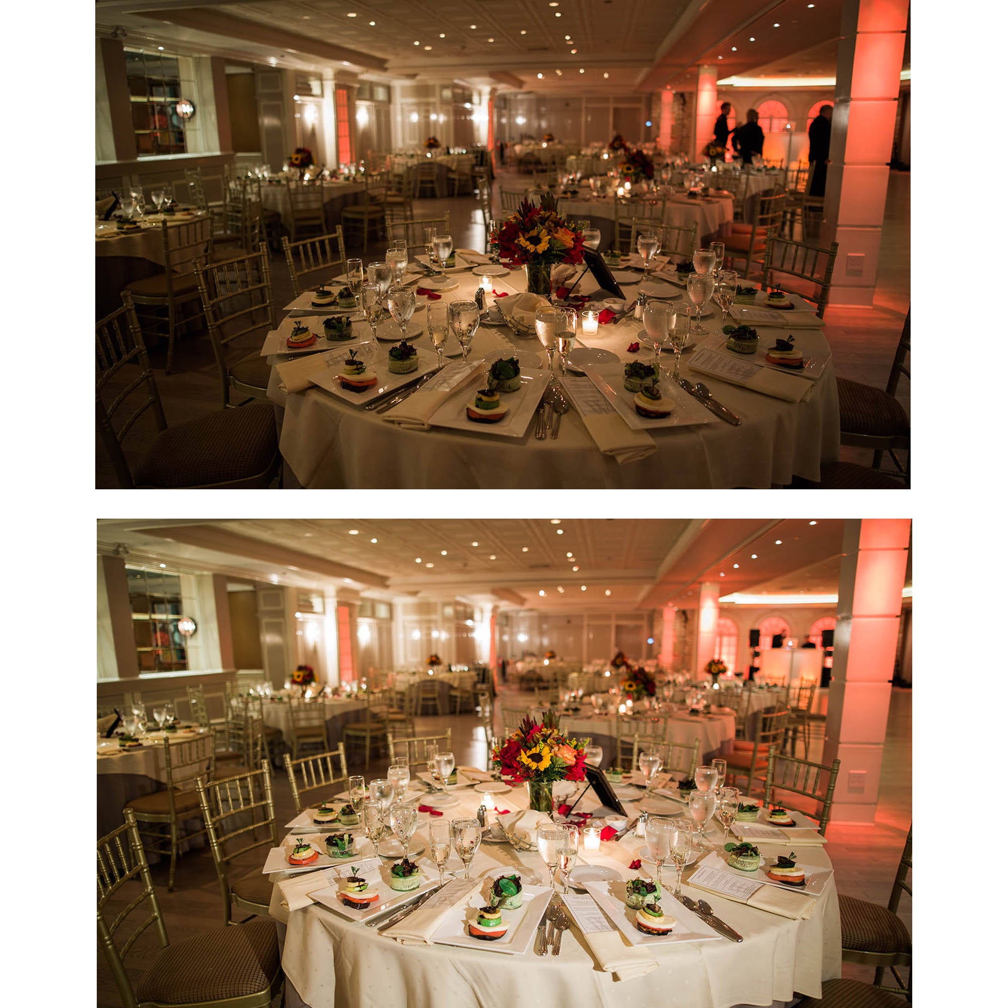 Lowel Go Lite Compact LED Light