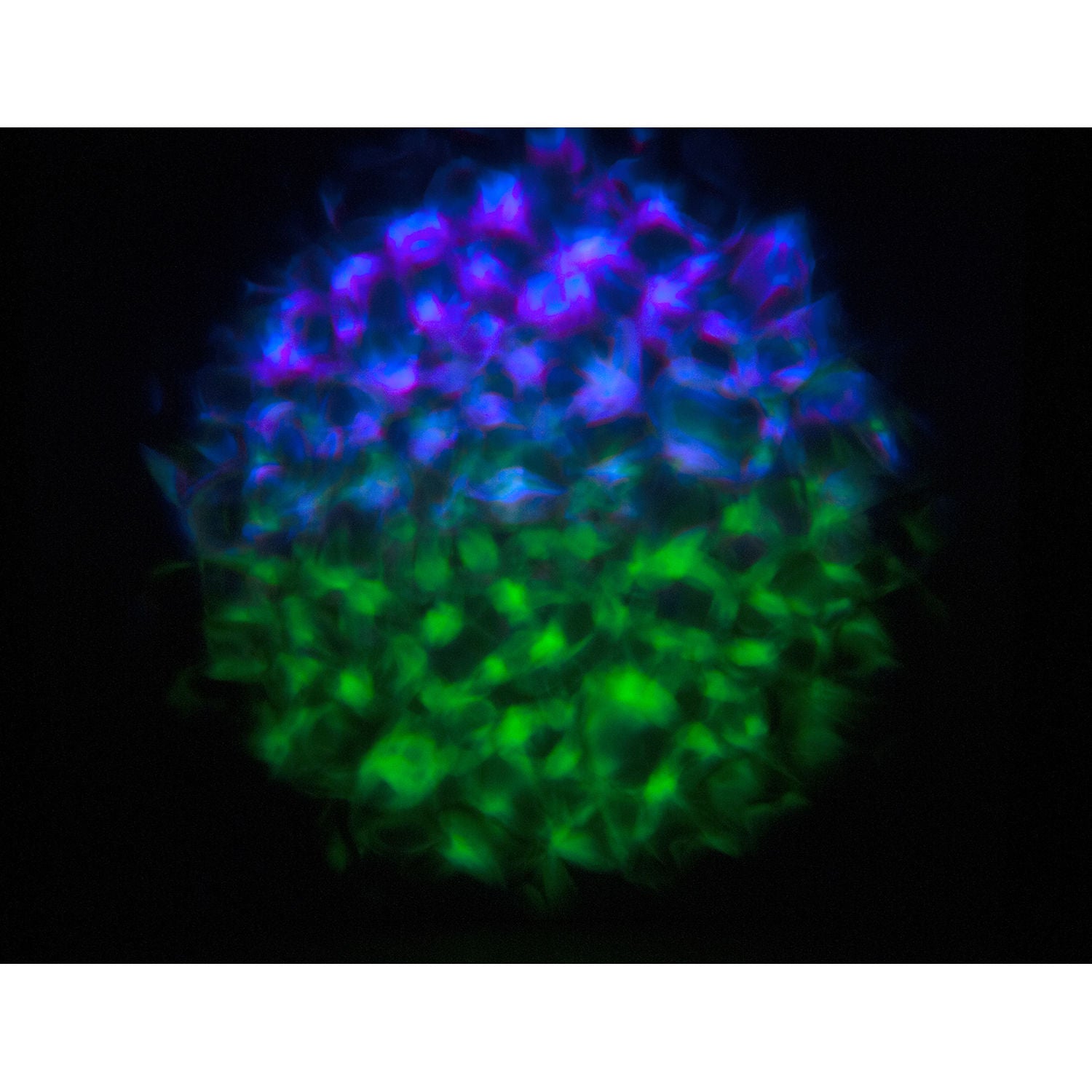 Eliminator Lighting Aqua LED 2 Multicolor Water Flowing Effect Light Fixture