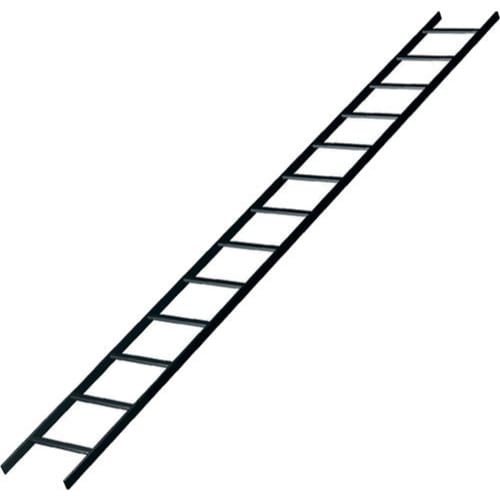 Middle Atlantic CLB-10-W24 10' x 24" Wide Cable Ladder