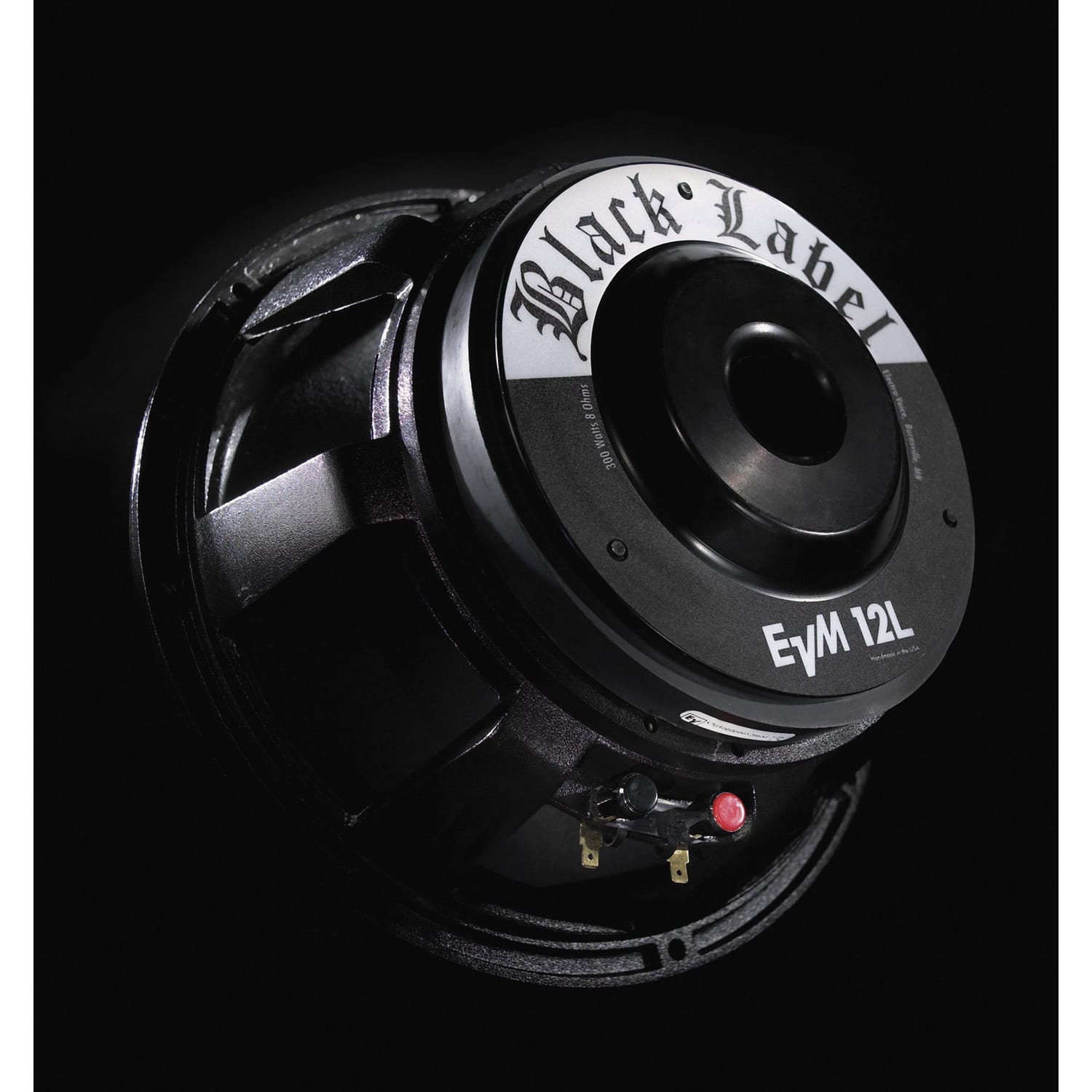 Electro-Voice EVM12L BlackLabel 8 Ohm