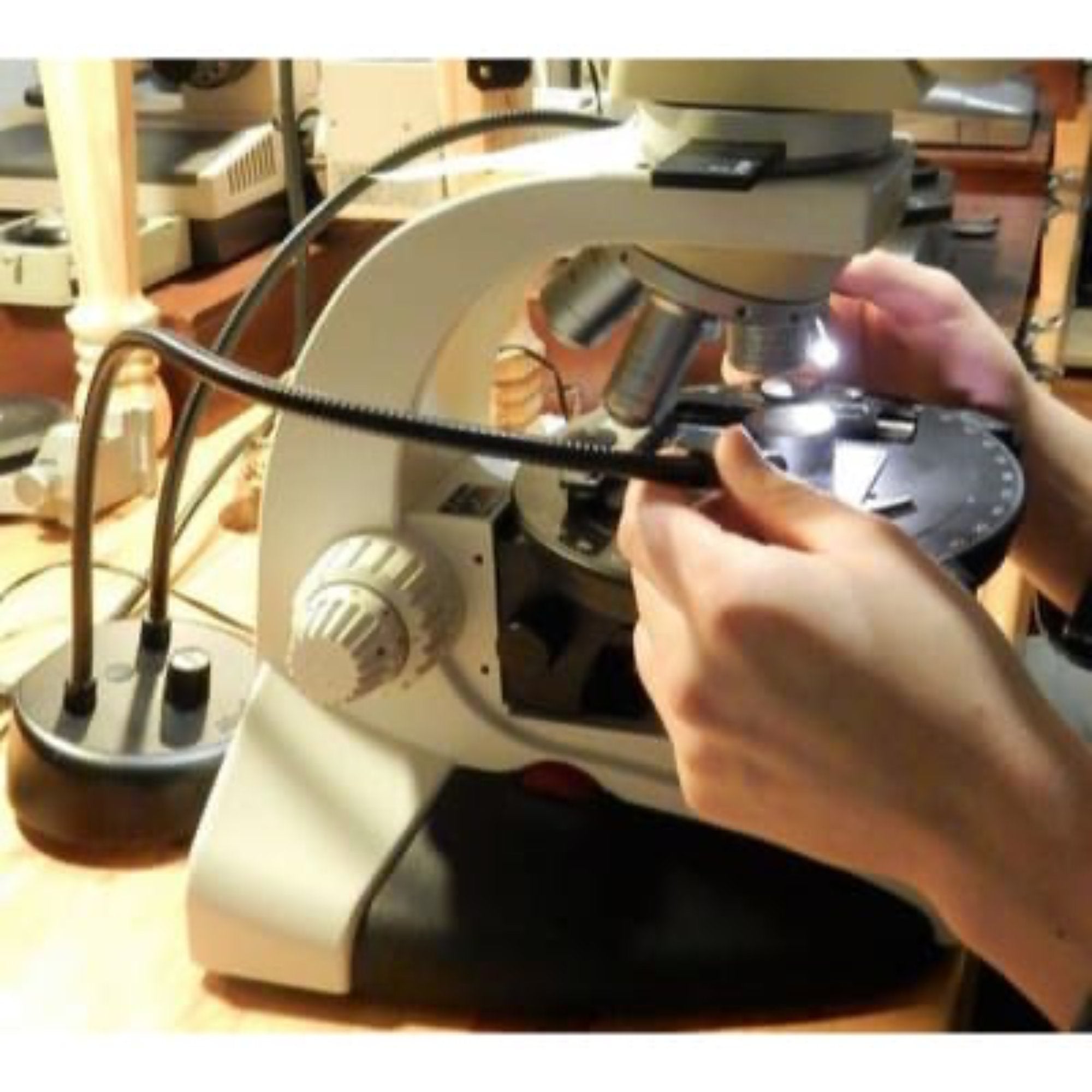 Littlite ANSER Dual Light with Two Goosenecks & US Power Supply (12")