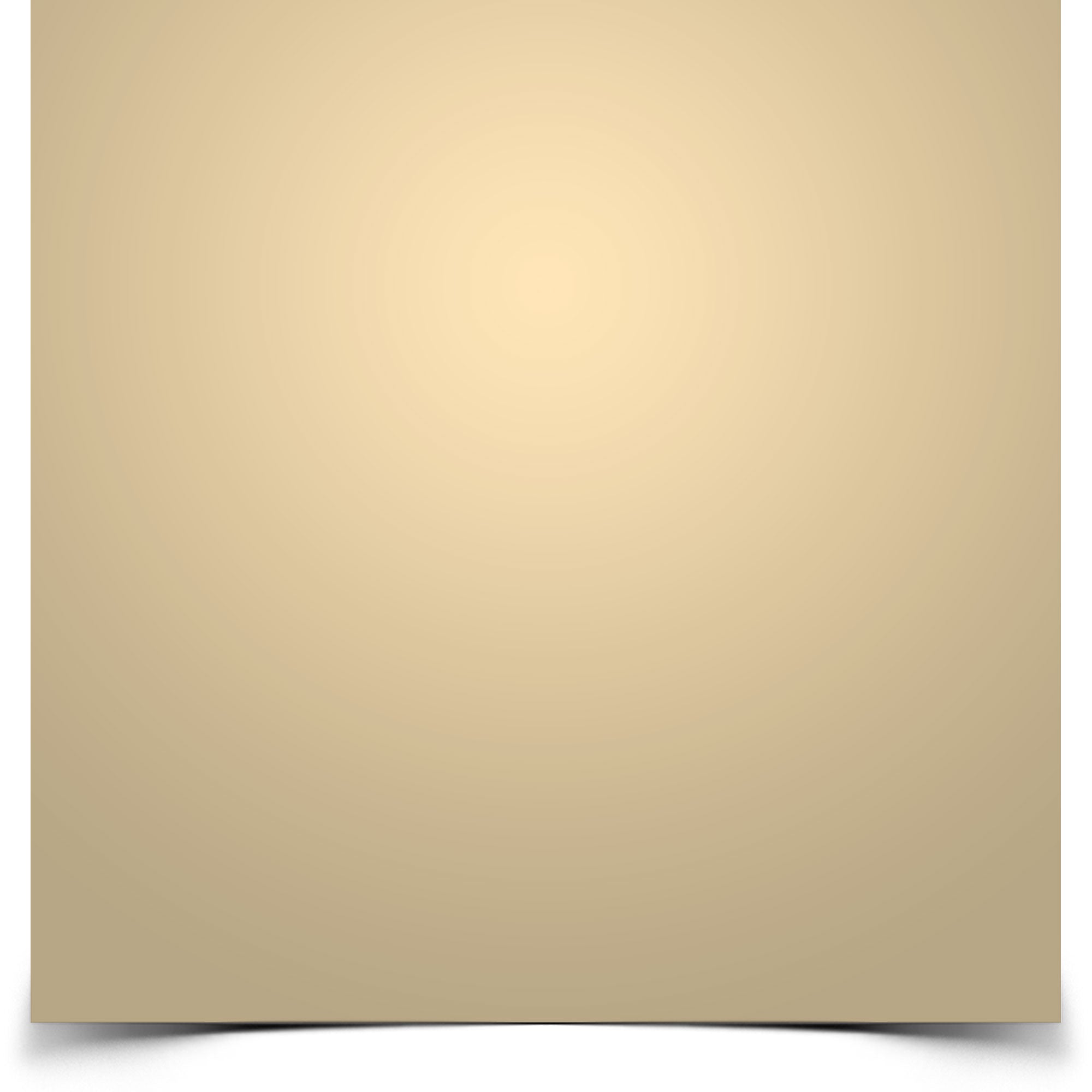 Rosco #206 e-colour+ Filter Gel 1/4 CT Orange (21" x 24" Sheet)