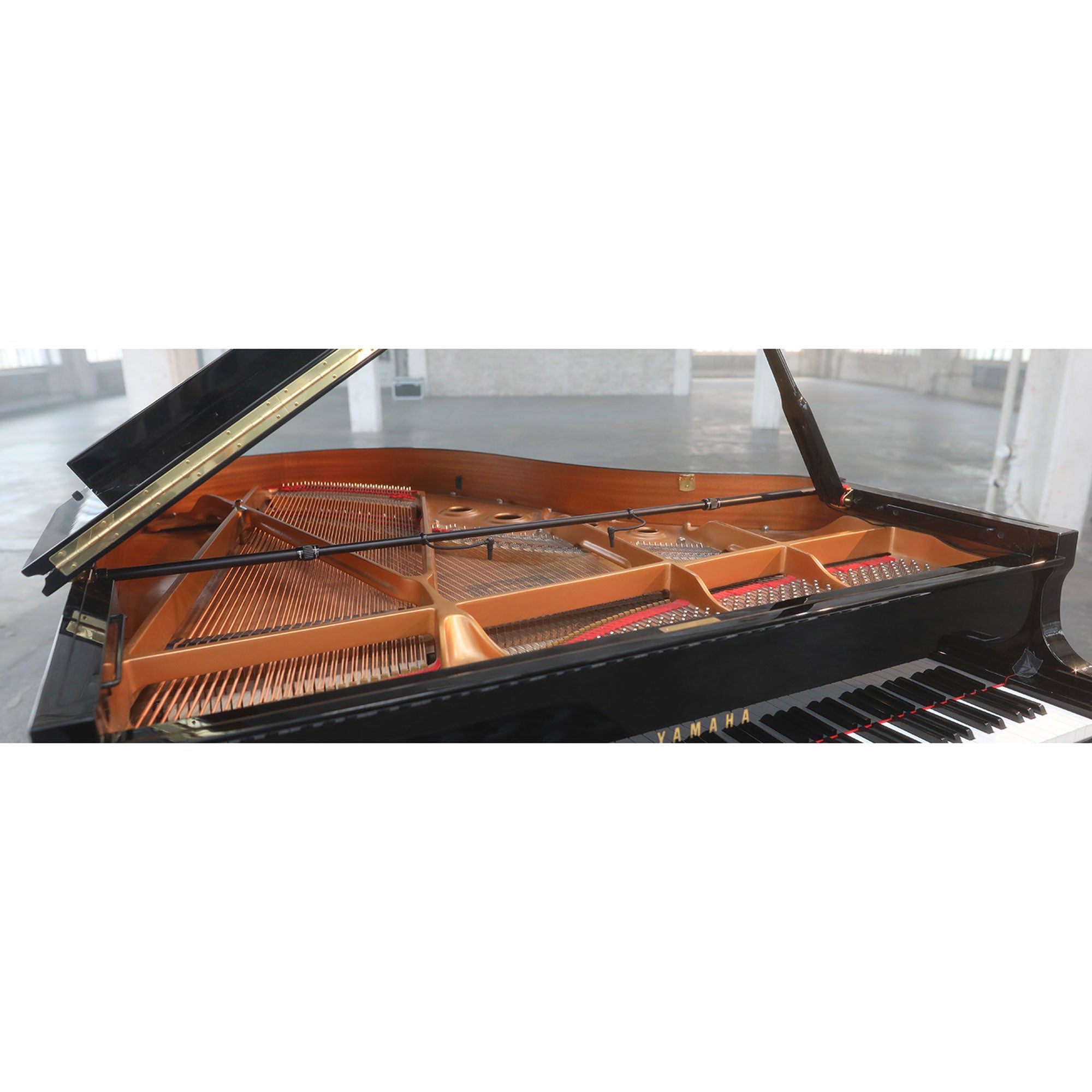 Earthworks PM40 PianoMic High Definition Microphone System