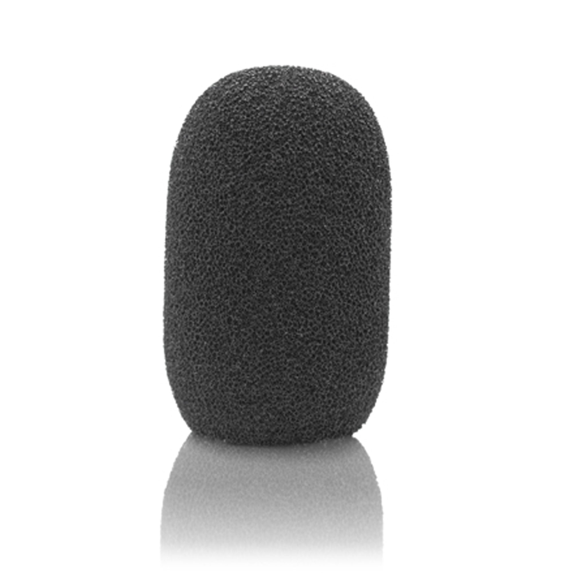 Countryman A3 Podium Windscreen