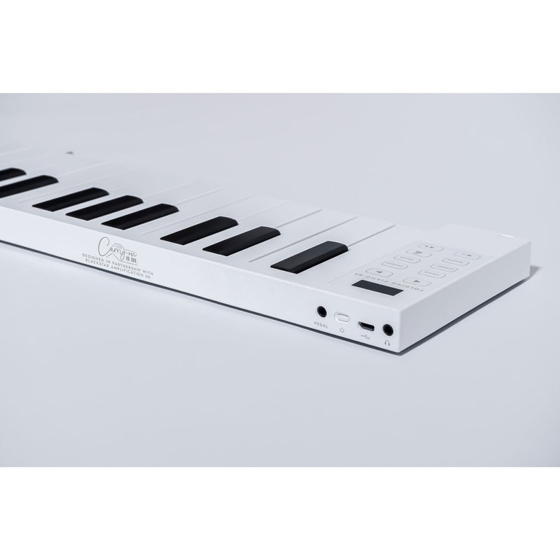 Korg Carry-On 88-Key Folding Piano and MIDI Controller