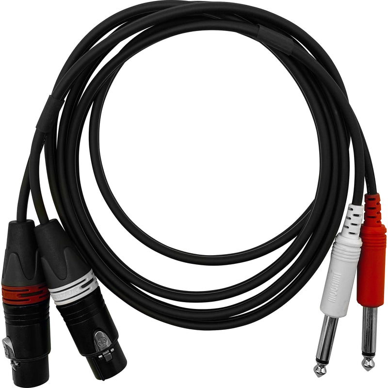 Performance Audio Dual FXLR to Dual 1/4" TS Mono Cable (6')