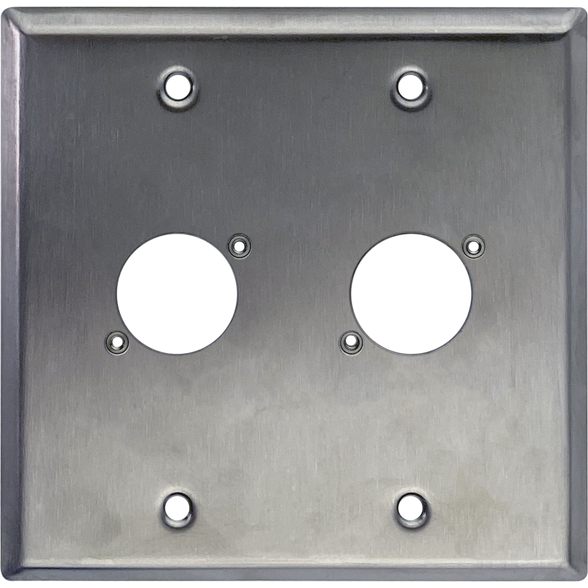 Whirlwind WP2/2NDH 2-Gang Wall Plate Punched for 2 Neutrik XLR Connectors (Stainless Steel)